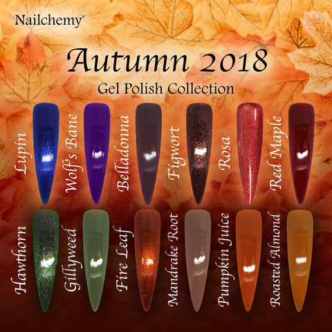 Autumn 2018 - Full Collection